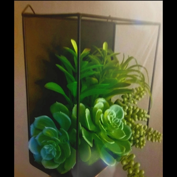Succulent Floating Cube Shelf Wall Decor - Picture 8 of 8